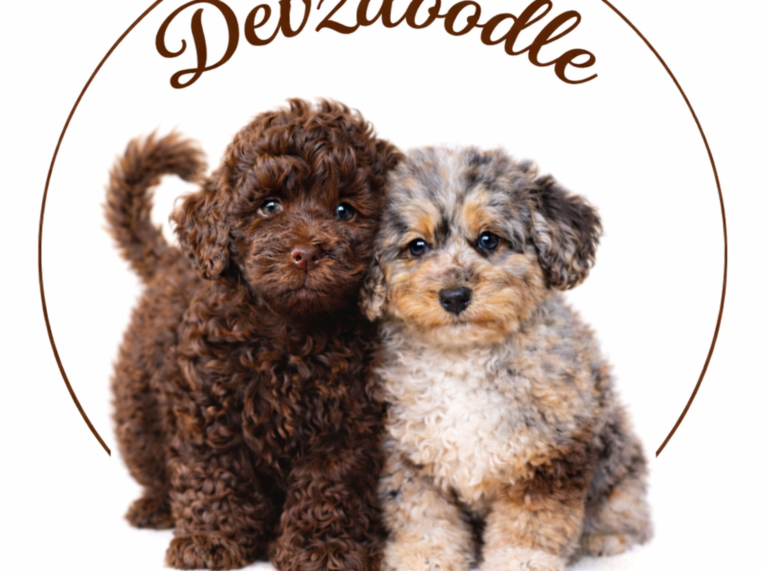 Lolliedoodle · 2026-05-10 · Gårdsjö · Devzdoodle