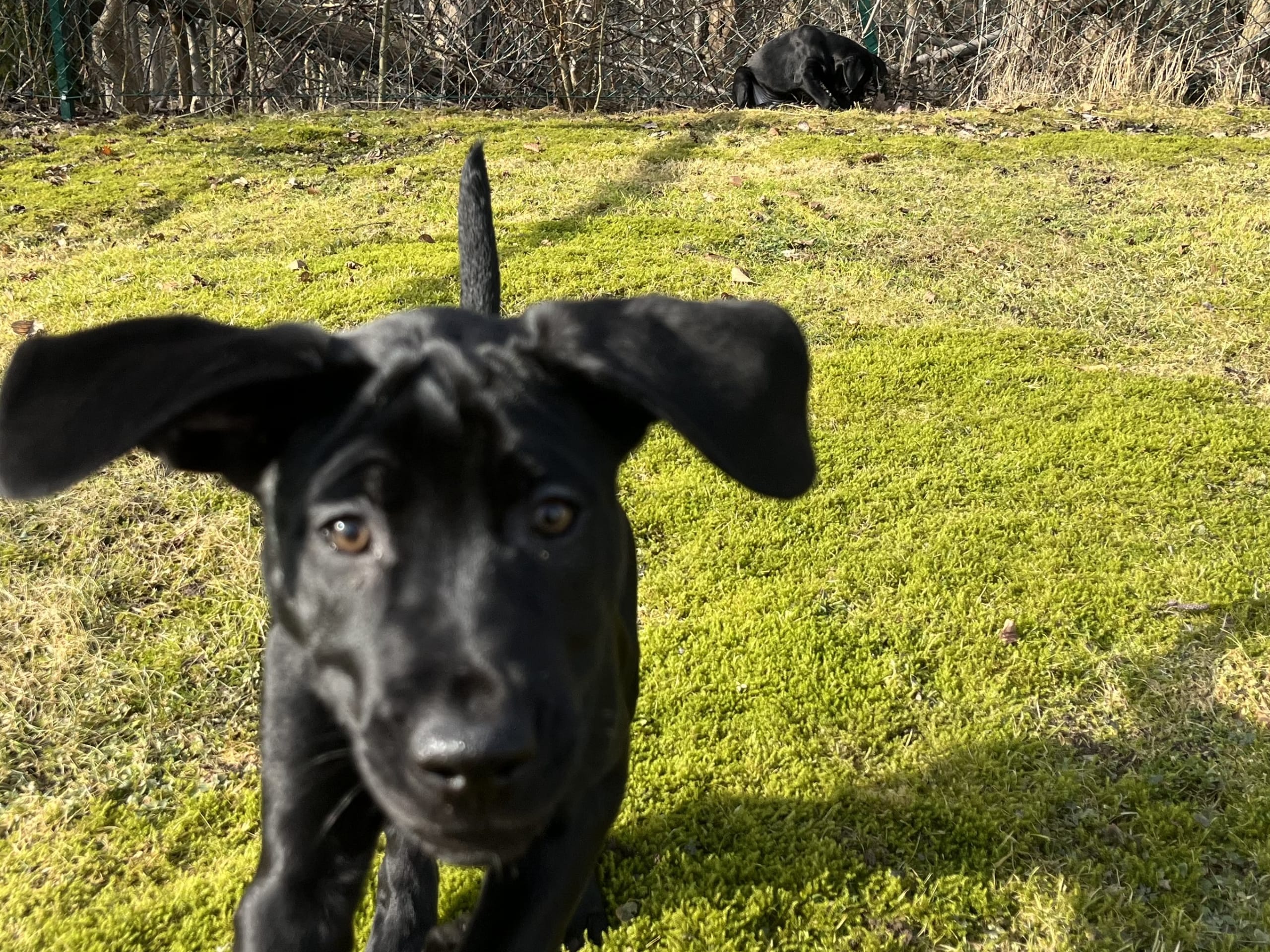 Blandras · 2025-12-07 · Frillesås · Weronika Z.