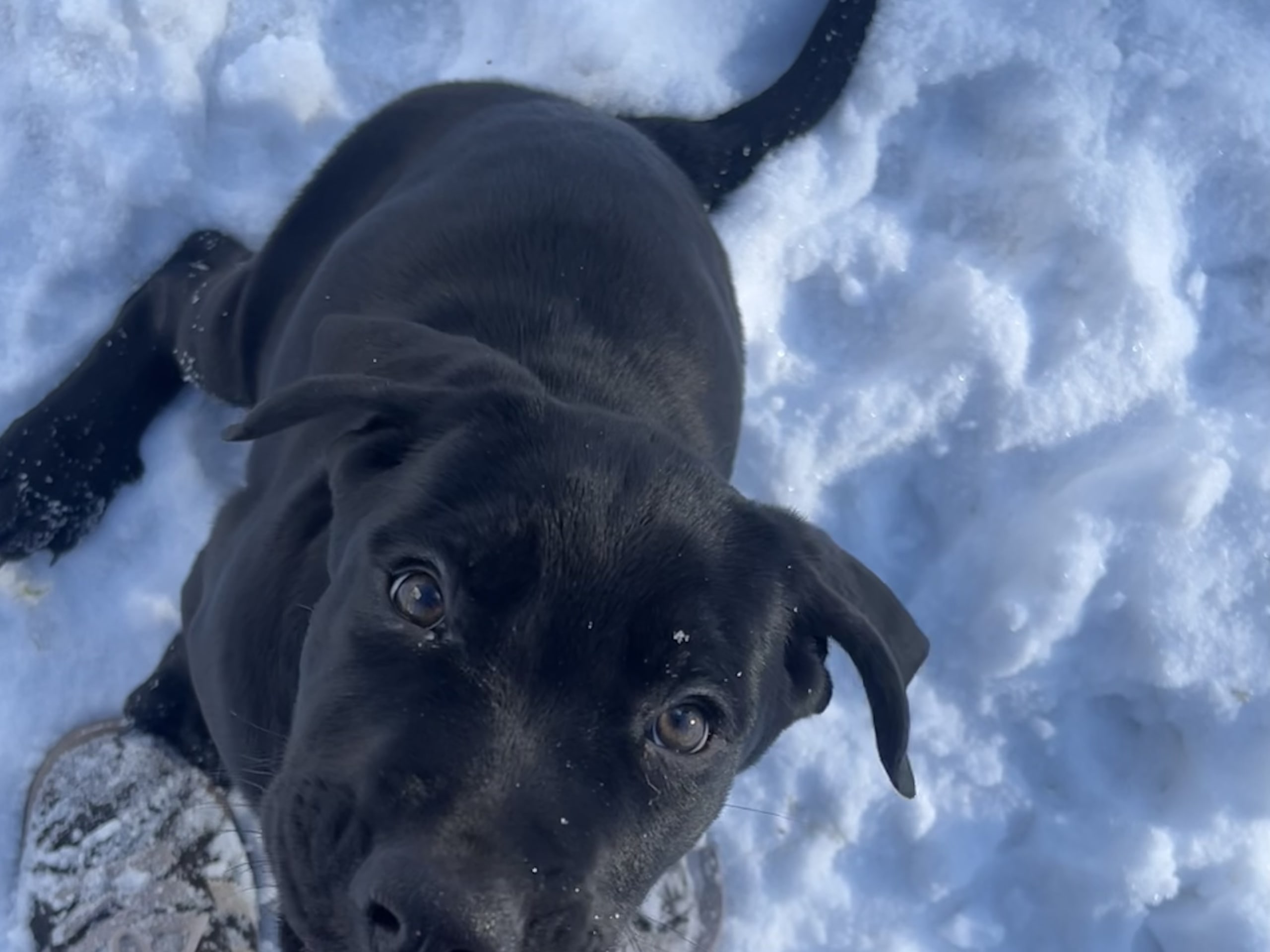 Blandras · 2025-12-07 · Frillesås · Weronika Z.