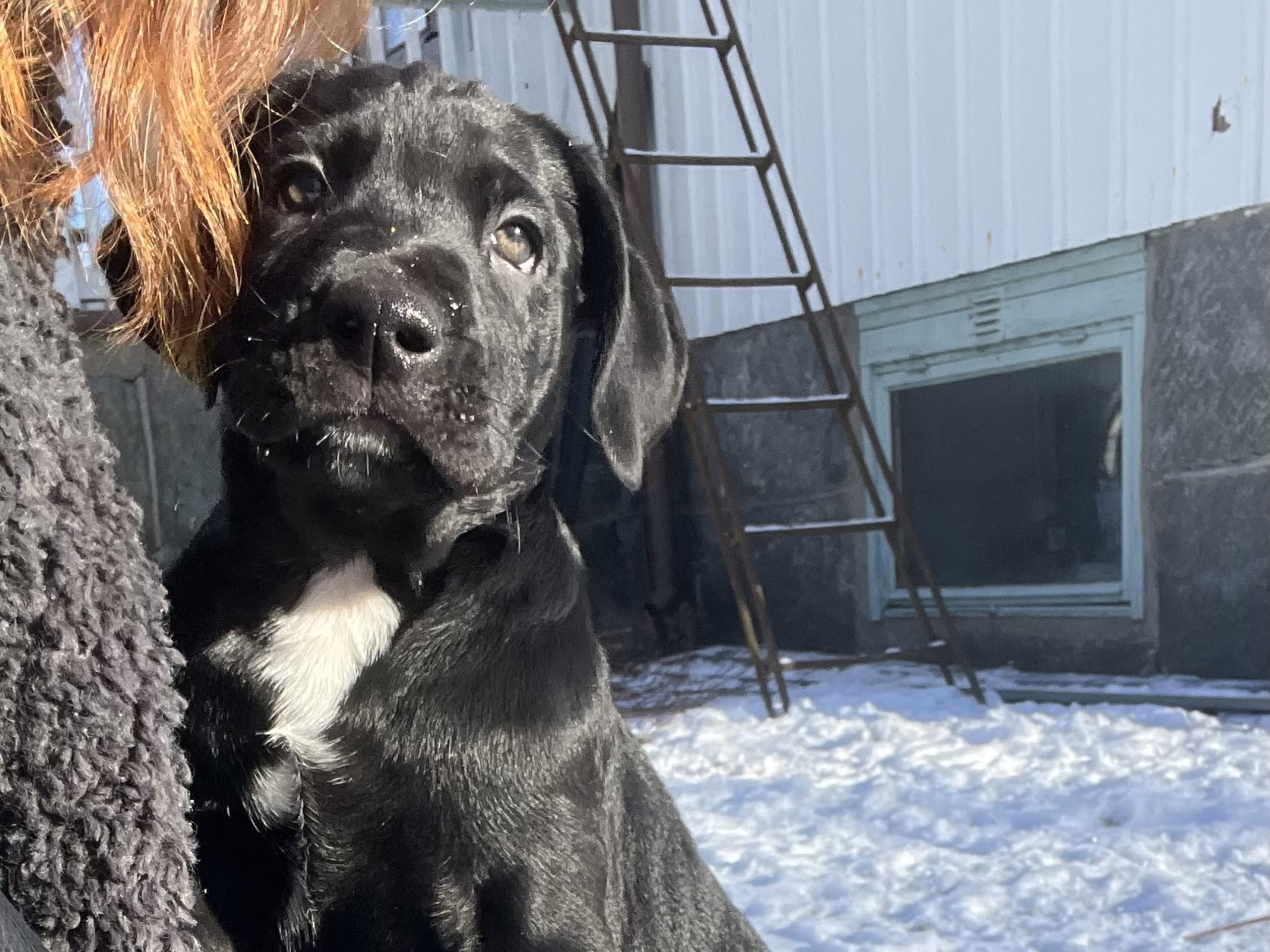 Blandras · 2025-12-07 · Frillesås · Weronika Z.