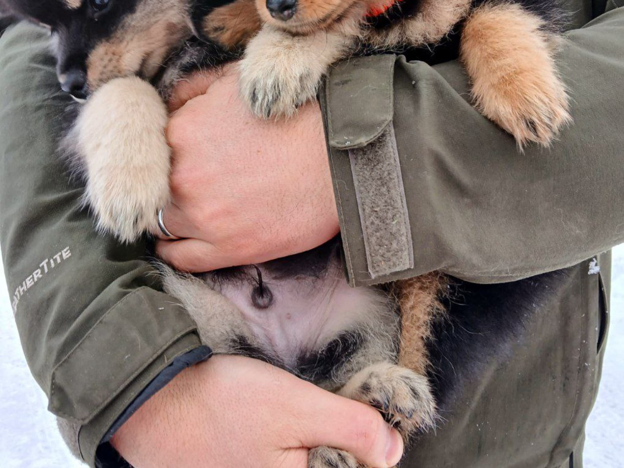 Tysk spets – mittelspitz