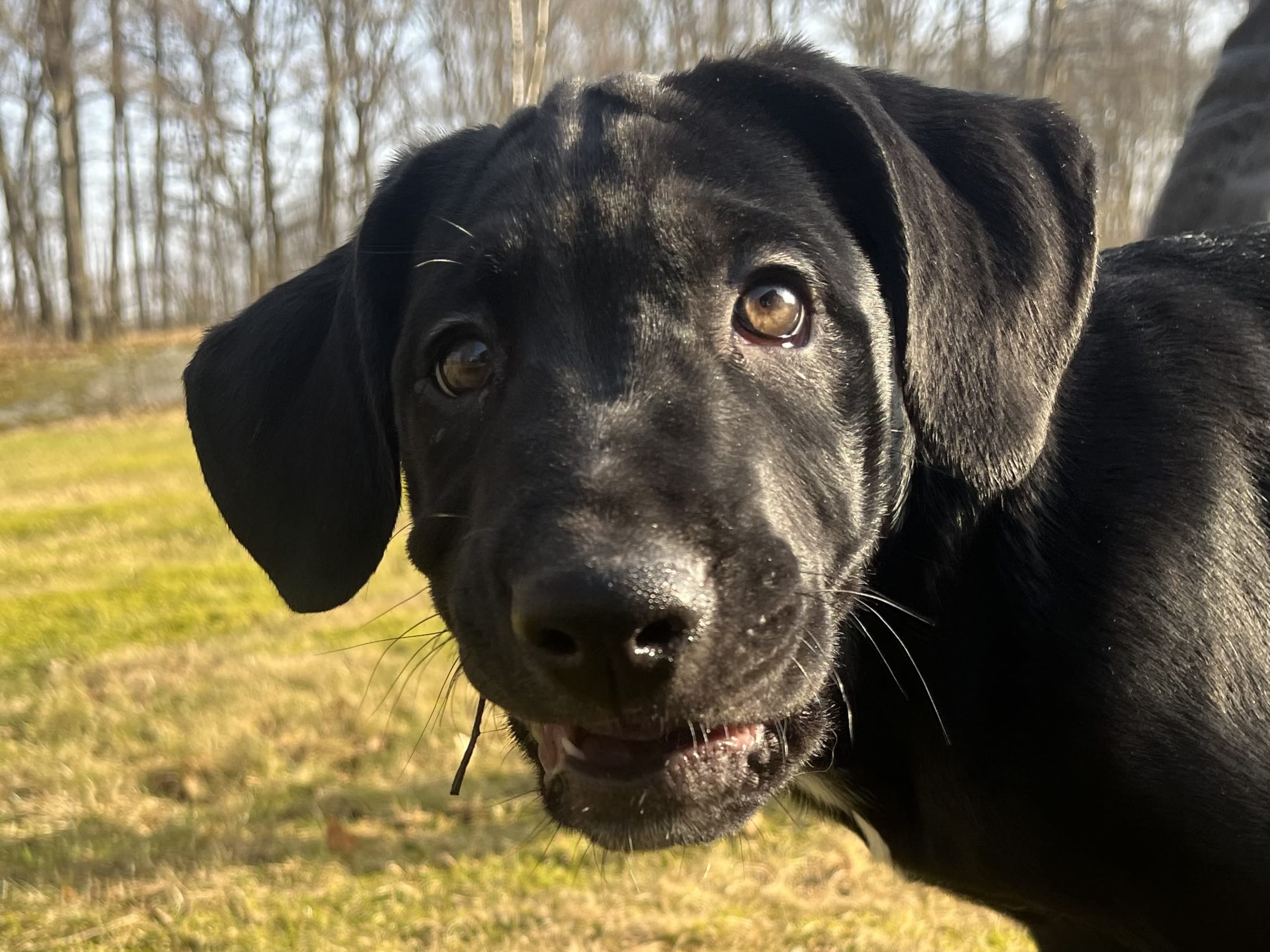 Blandras · 2025-12-07 · Frillesås · Weronika Z.