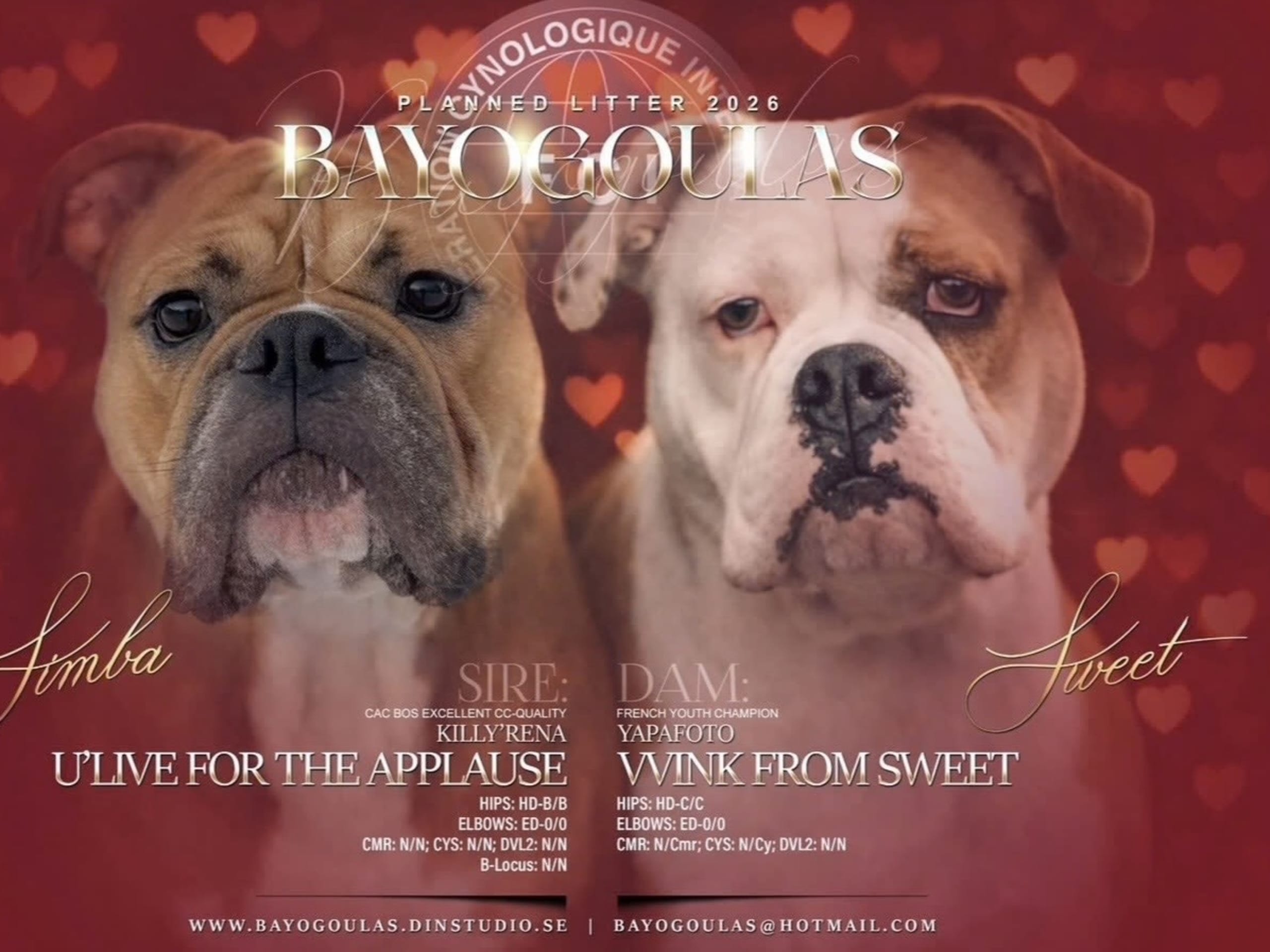 Continental Bulldog · 2026-02-08 · Boden · Bayogoulas