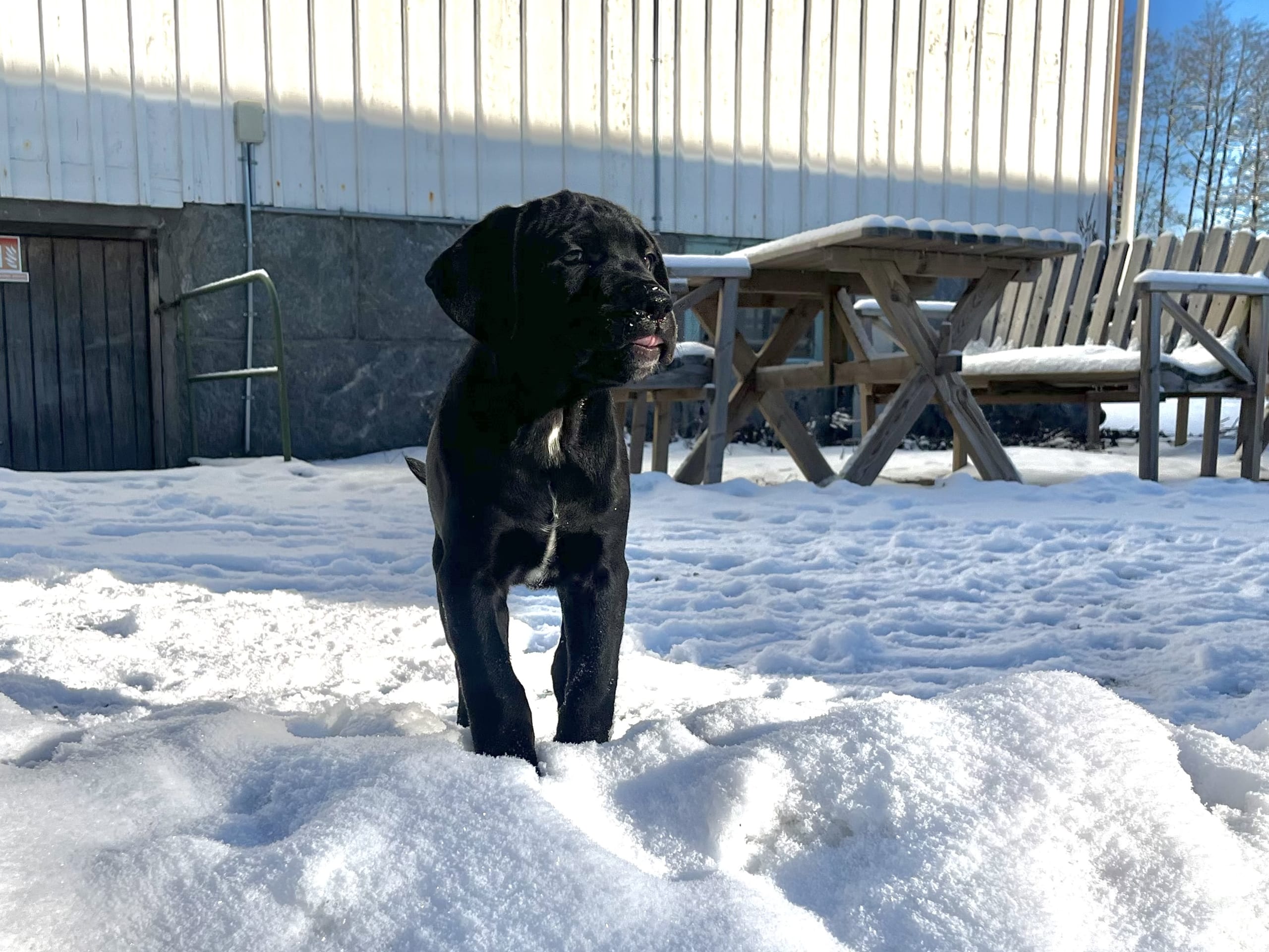 Blandras · 2025-12-07 · Frillesås · Weronika Z.