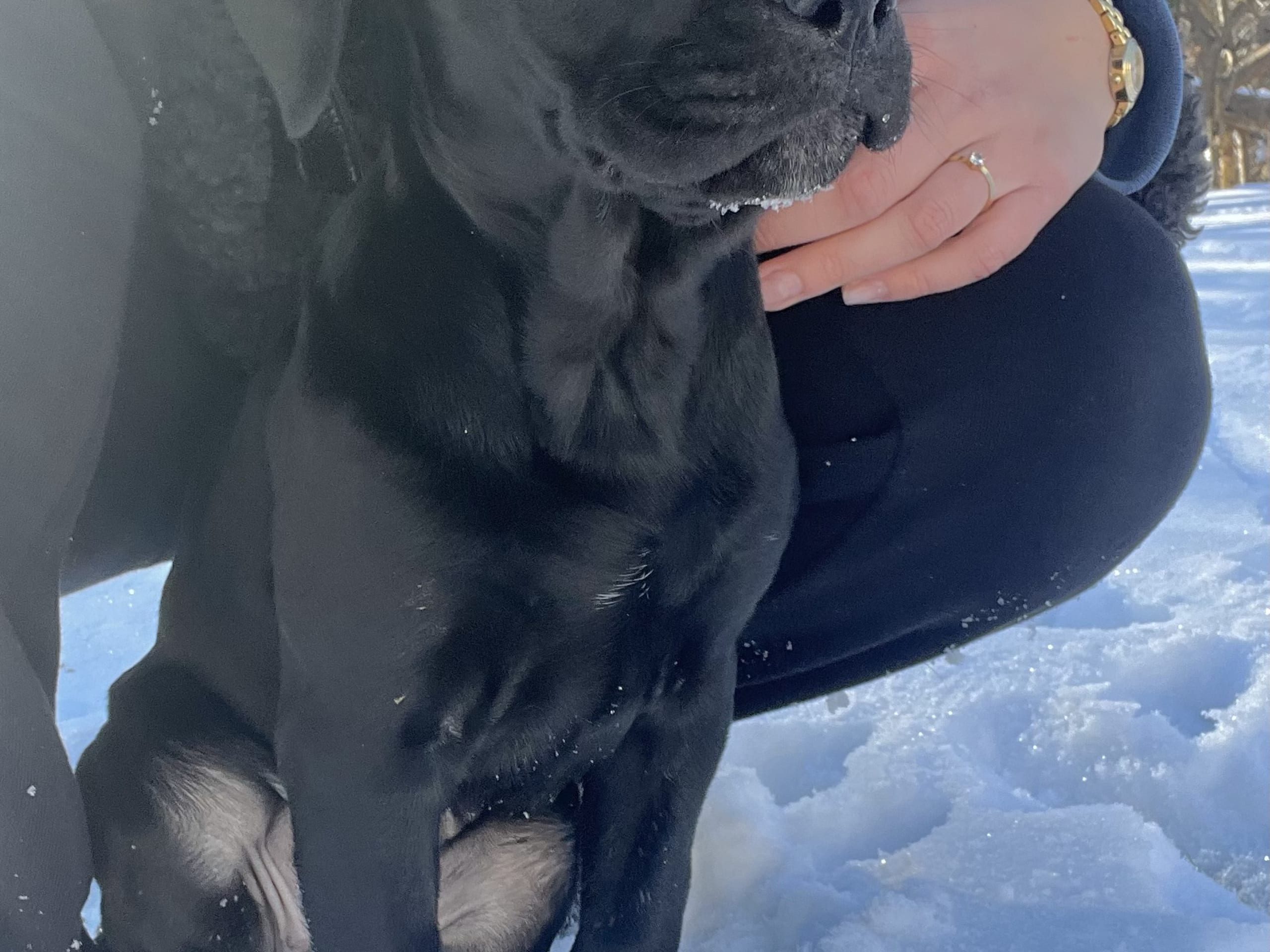 Blandras · 2025-12-07 · Frillesås · Weronika Z.