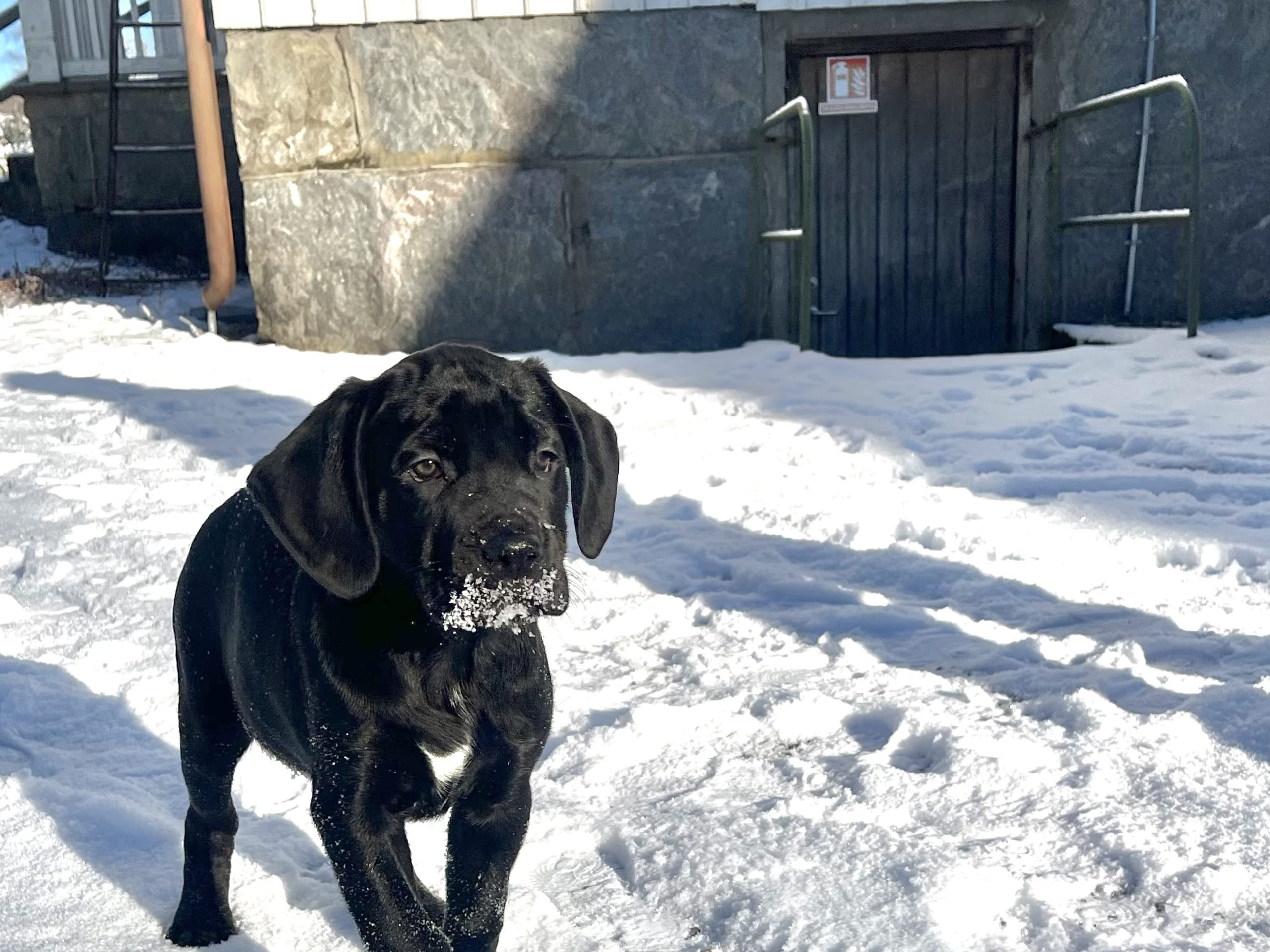 Blandras · 2025-12-07 · Frillesås · Weronika Z.