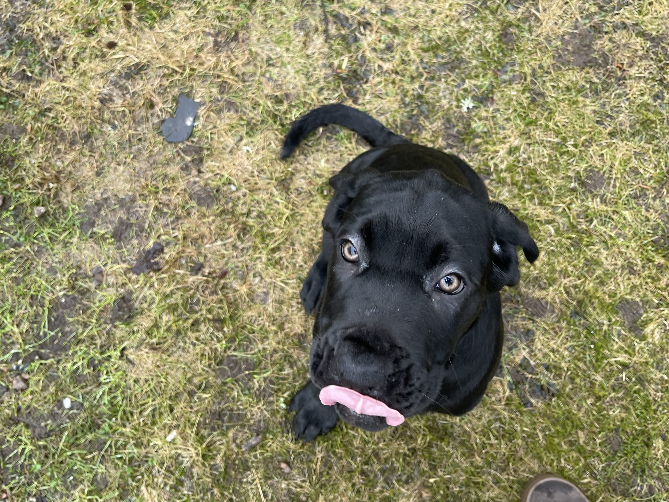 Blandras · 2025-12-07 · Frillesås · Weronika Z.