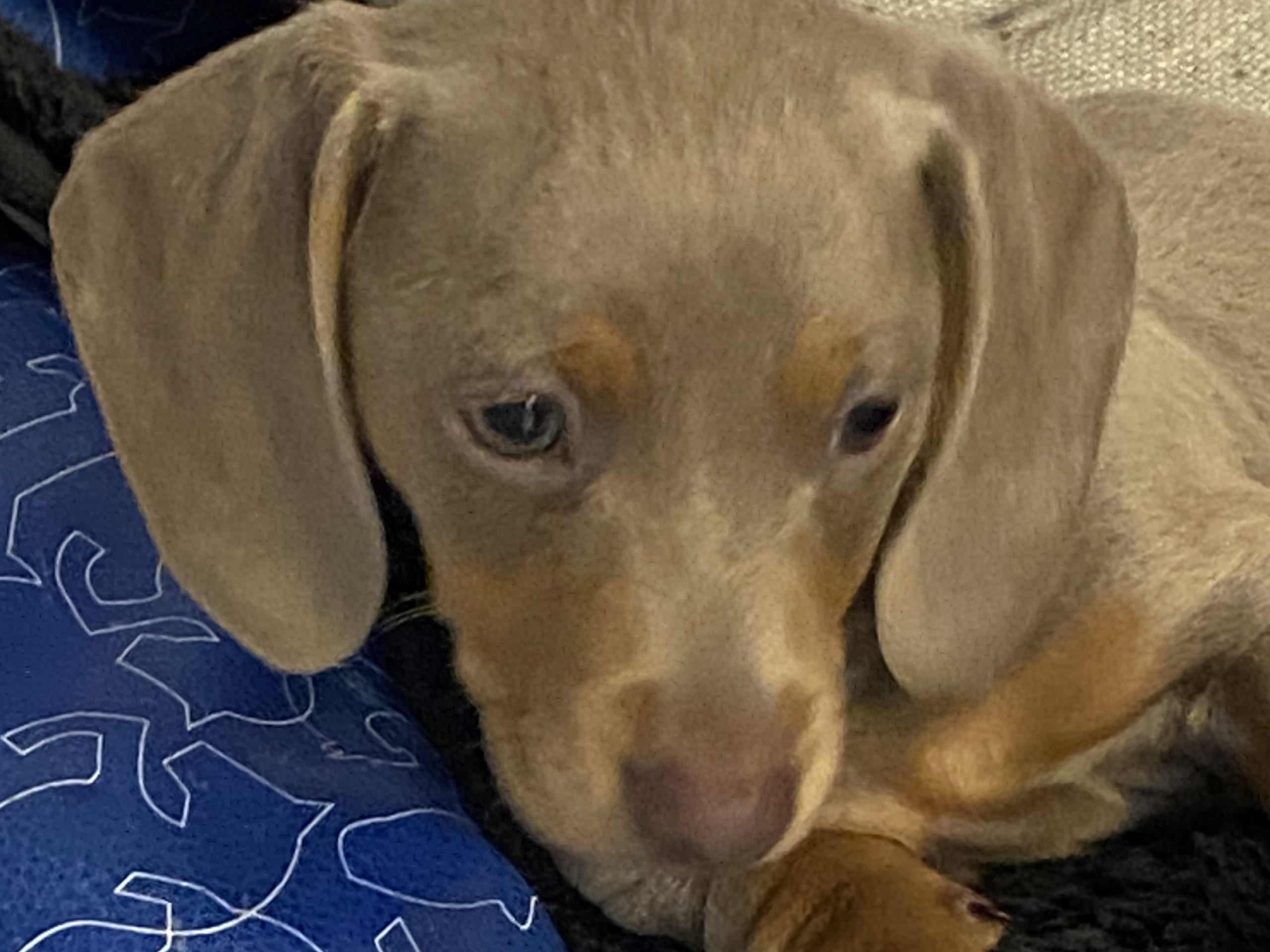 Tax · 2025-11-07 · Torup · sjöbol