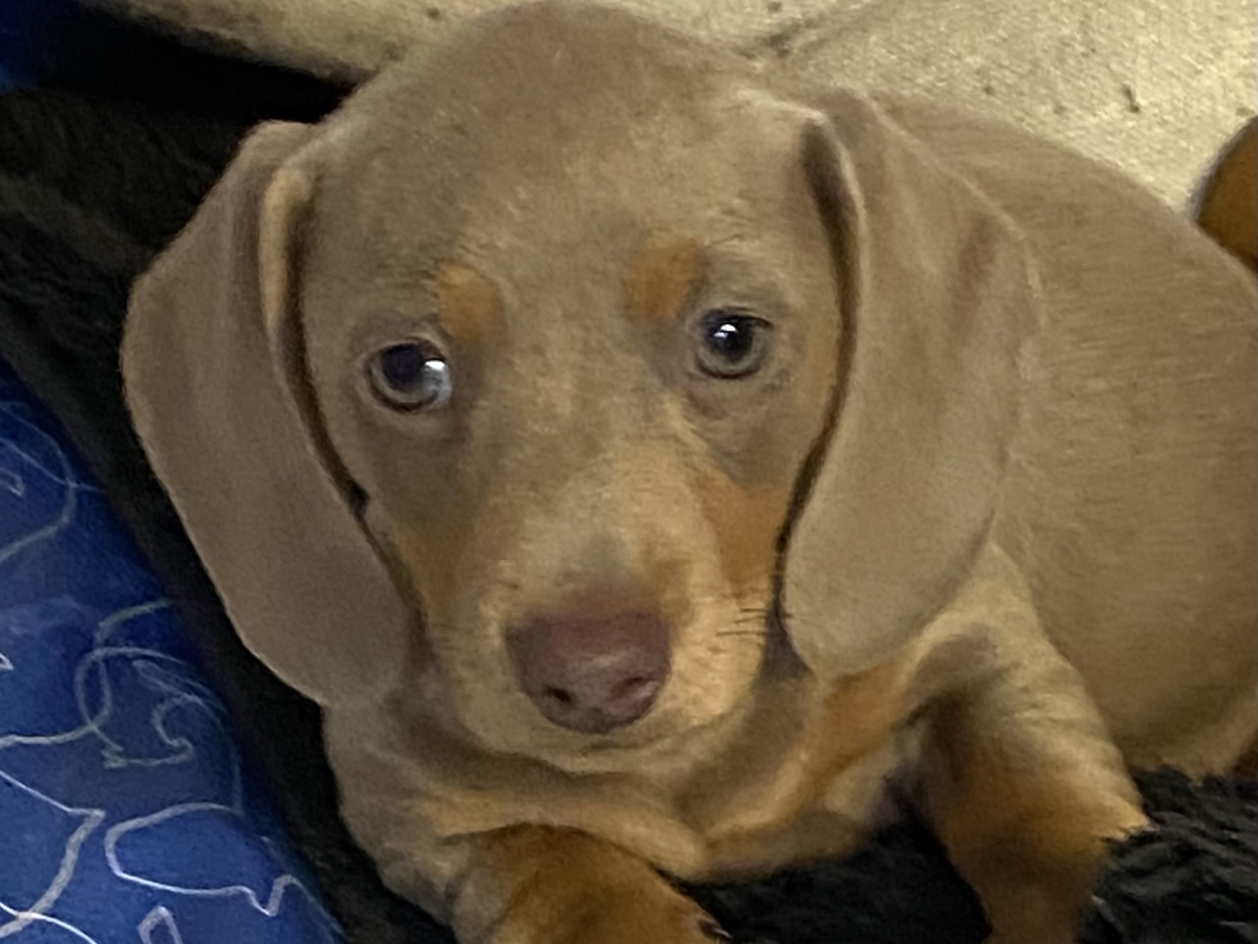 Tax · 2025-11-07 · Torup · sjöbol