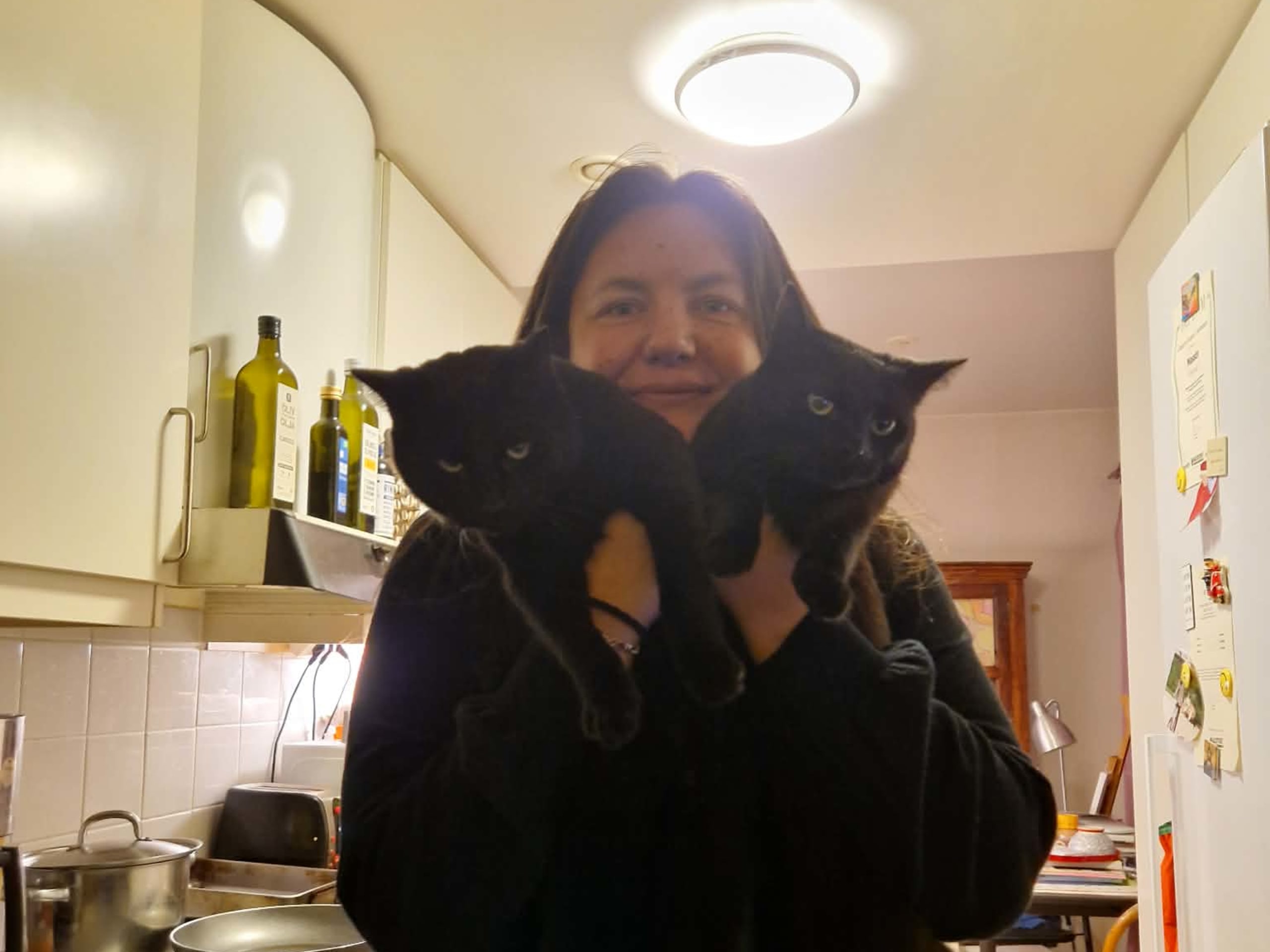 Huskatt · Göteborg · Nadia S.