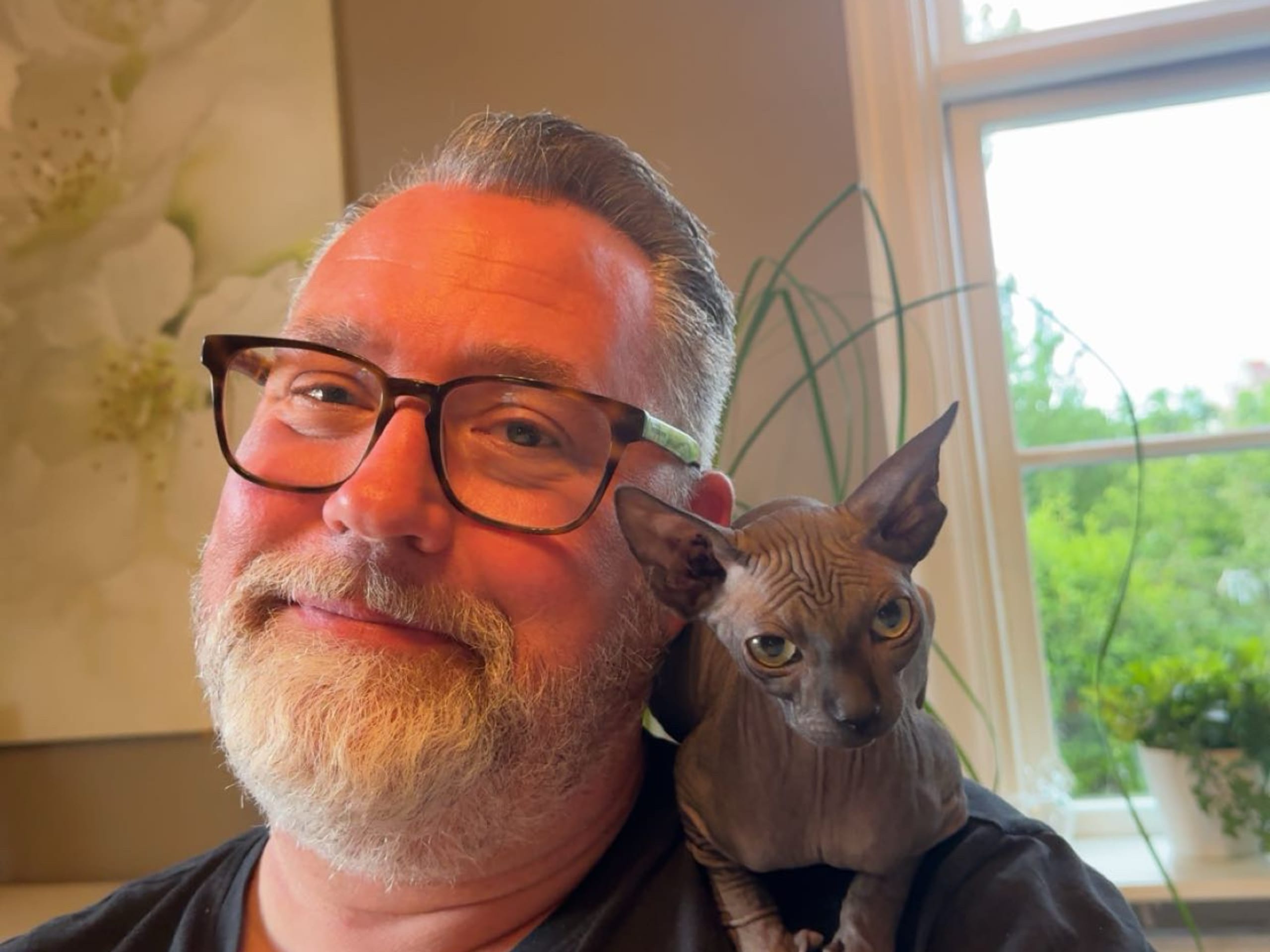 Sphynx · Karlstad · Elvira K.