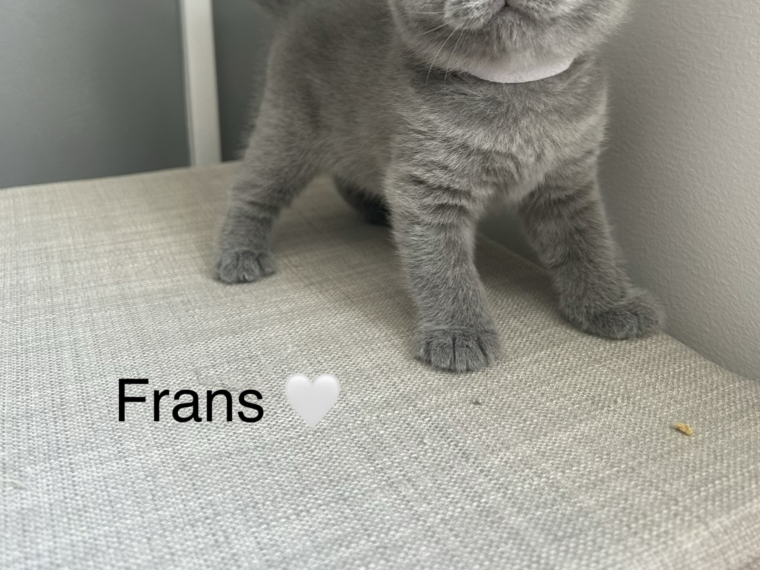 Frans