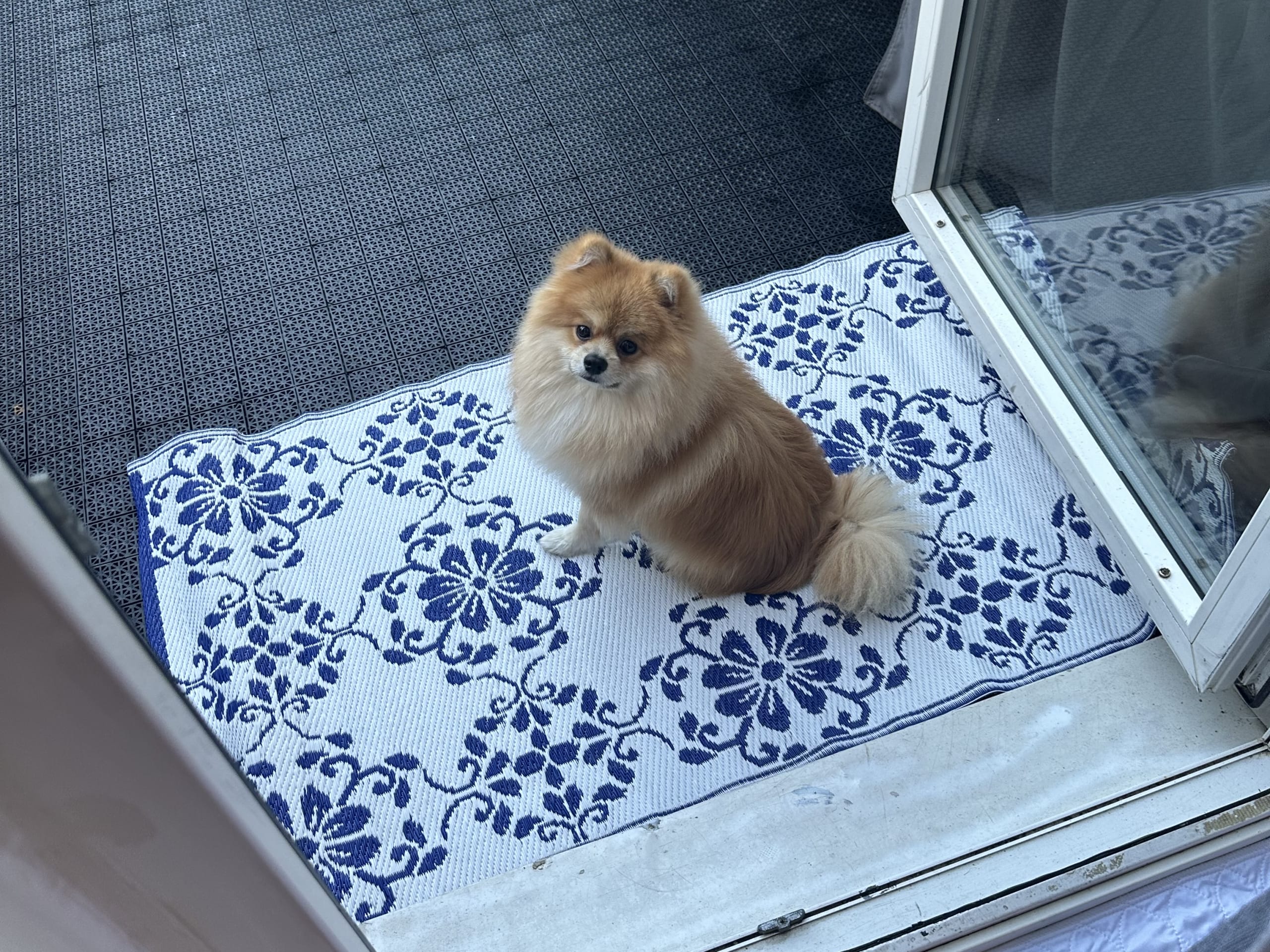 Hugo