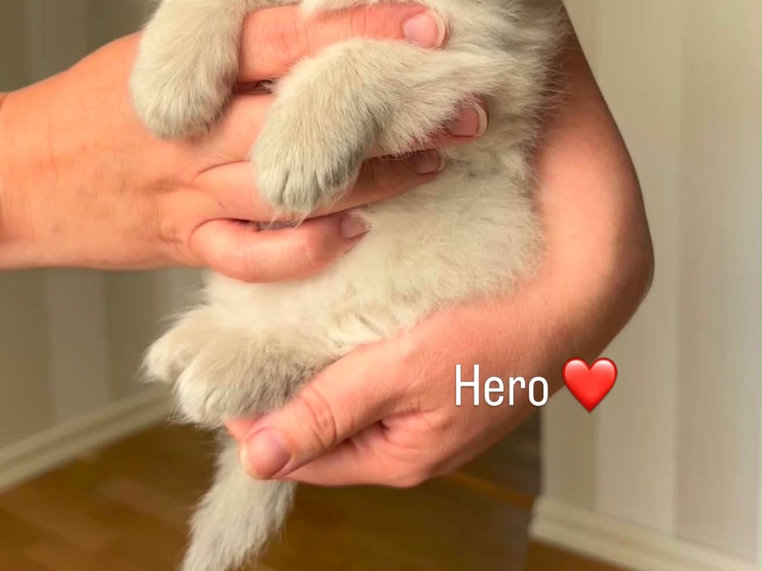Hero