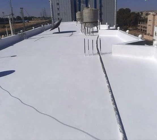 تفاصيل خدمة عزل الأسطح - صورة 3