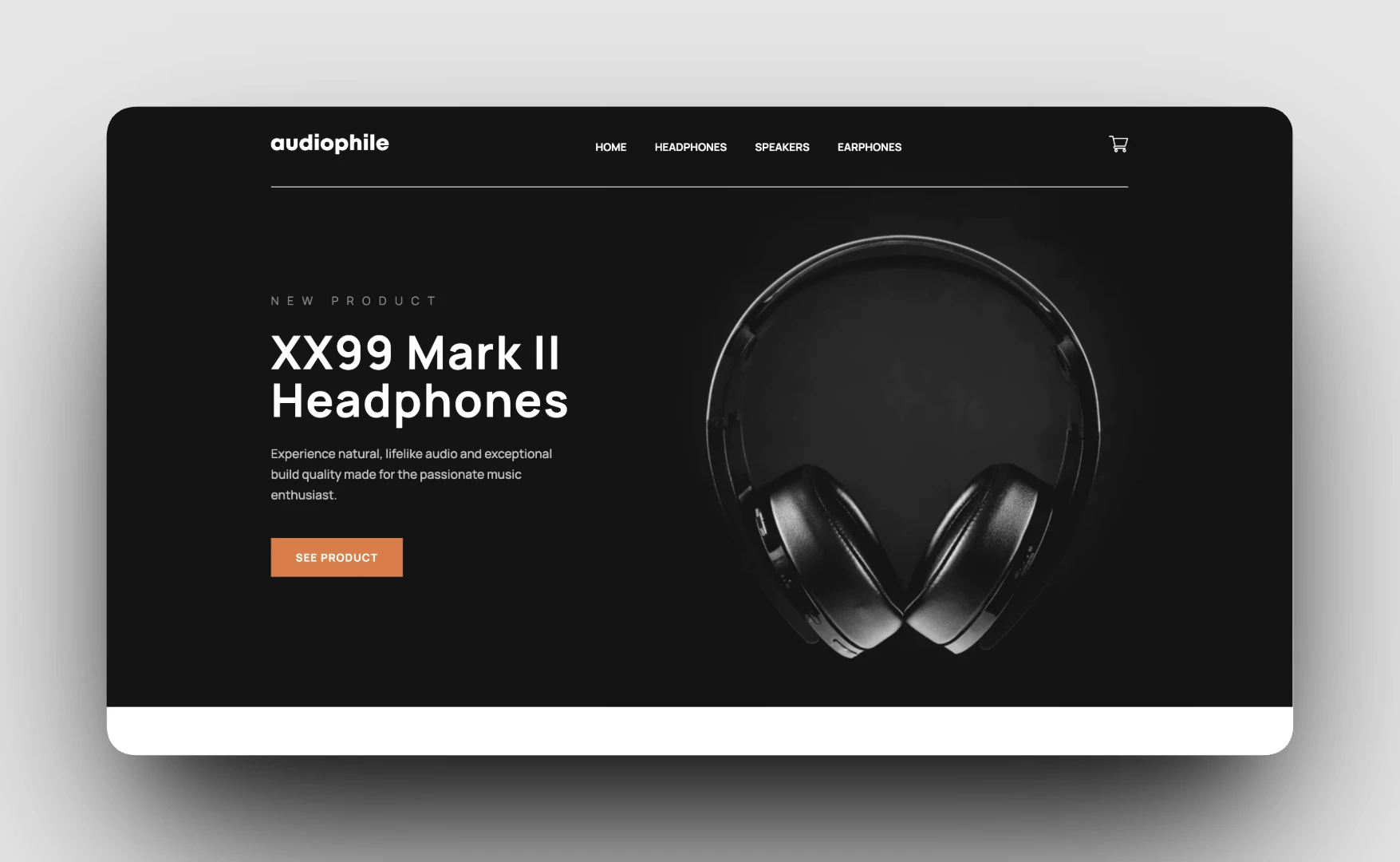 Audiophile product browsing experience