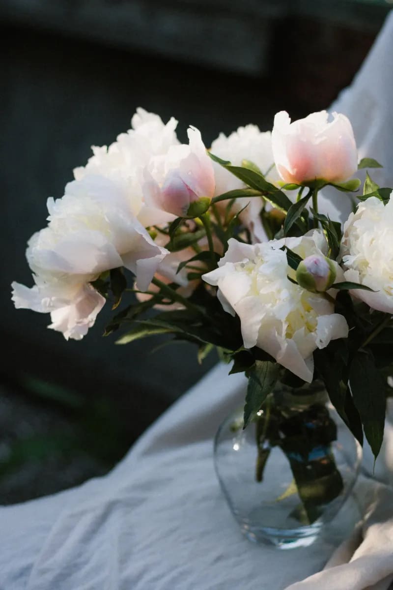 Abonnement Fleurs du Mois
