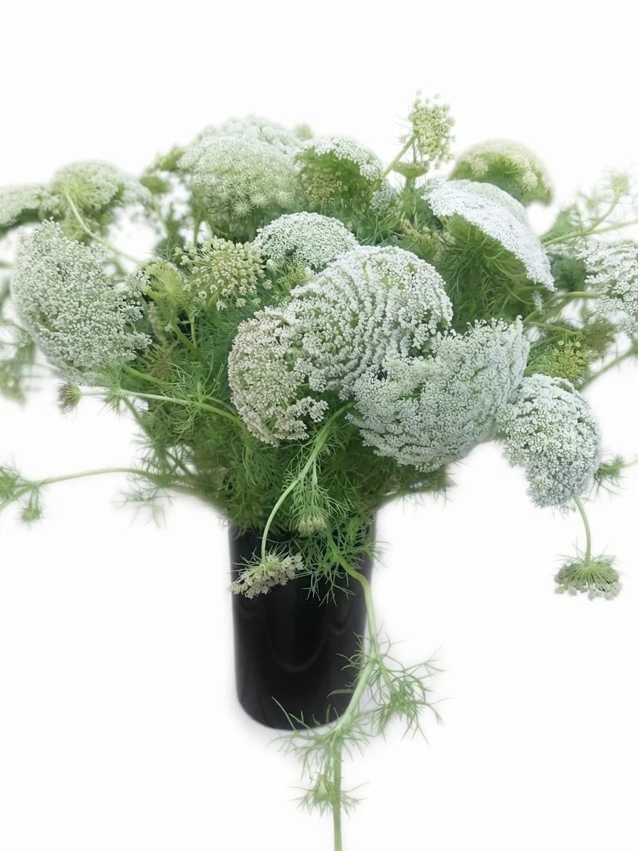 Bouquet Blanc Événementiel