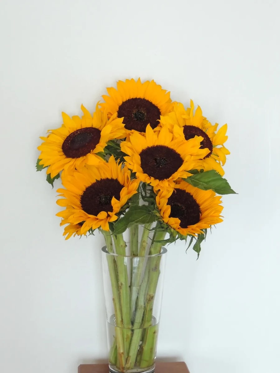 Bouquet Tournesols Soleil