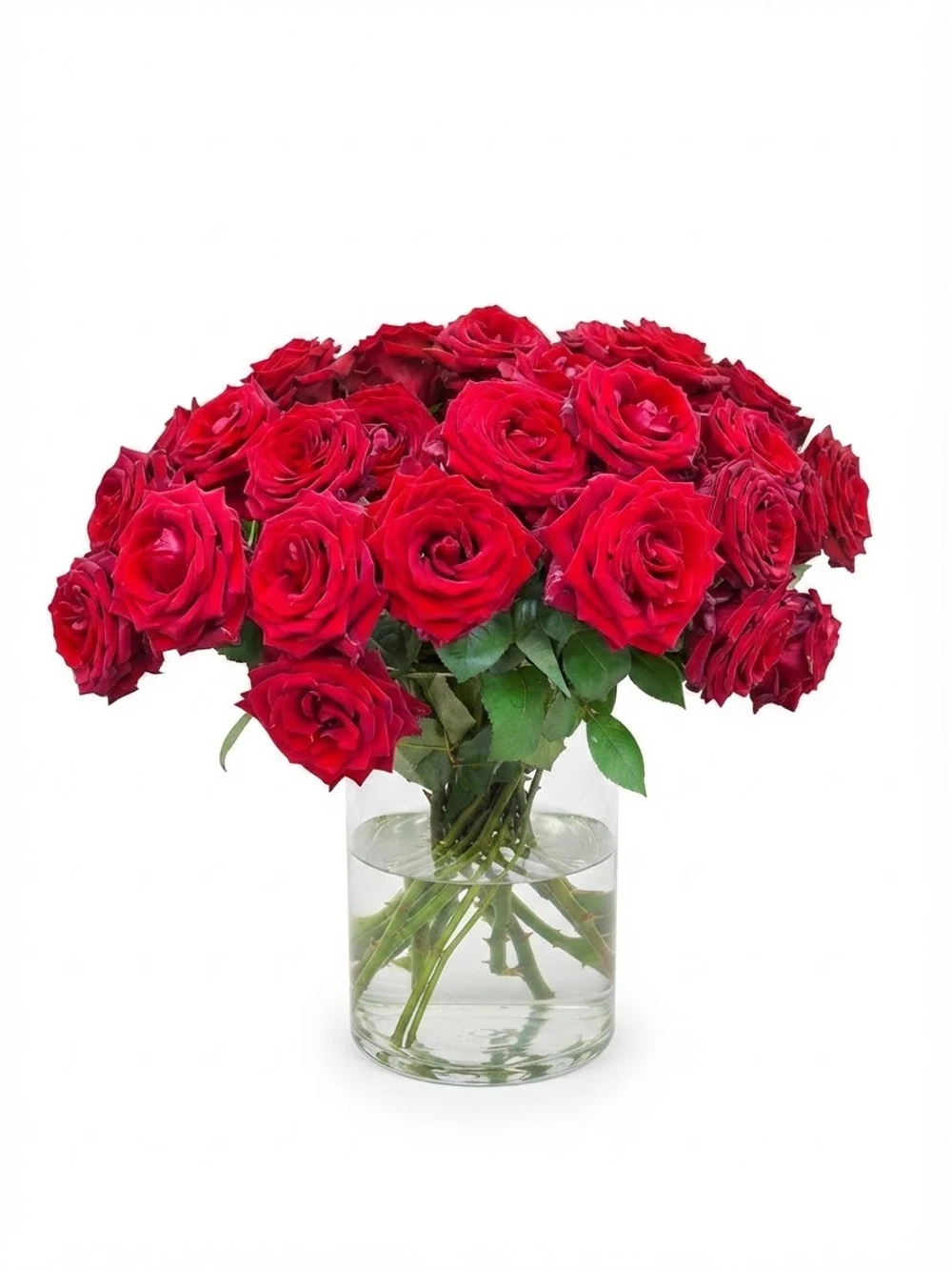 Bouquet de roses rouges
