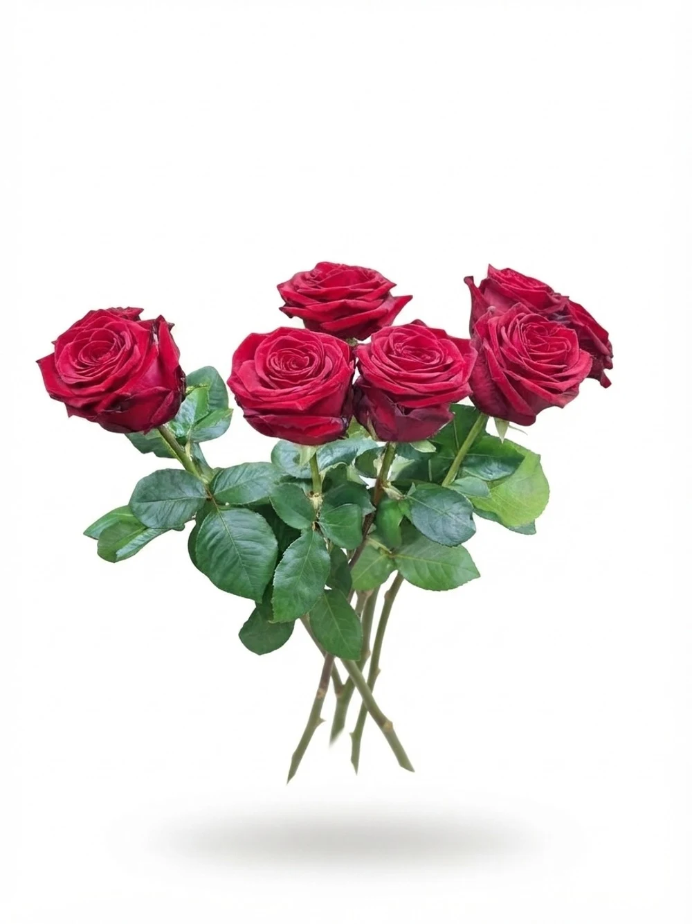 Roses rouges