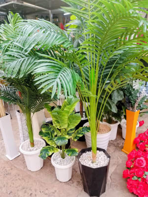artificial palm tree plant
