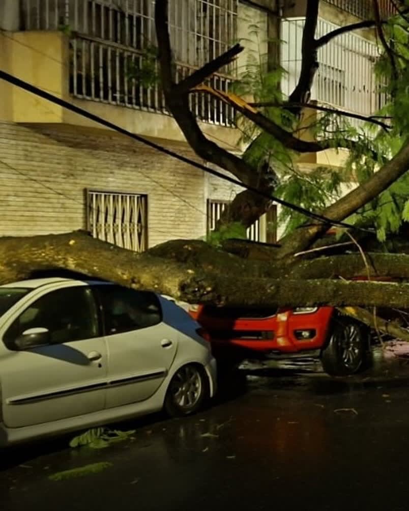 Imagen principal del artículo