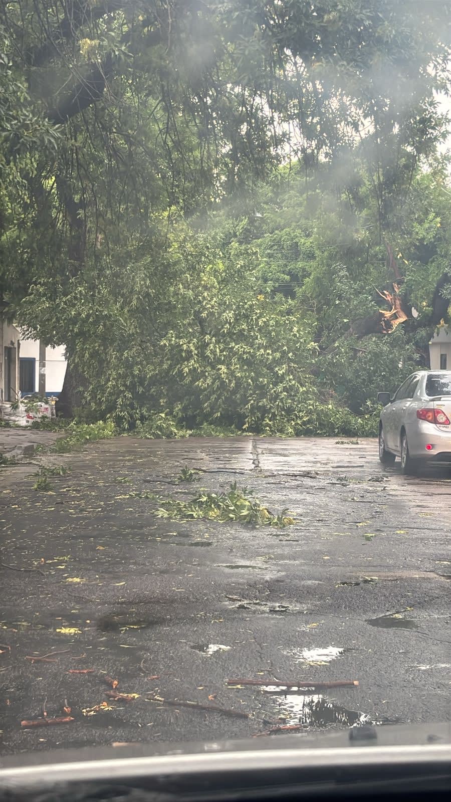 Imagen principal del artículo