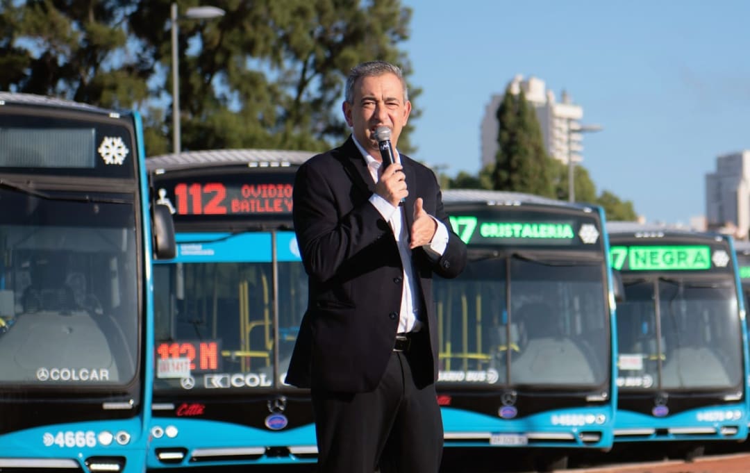 Imagen principal del artículo