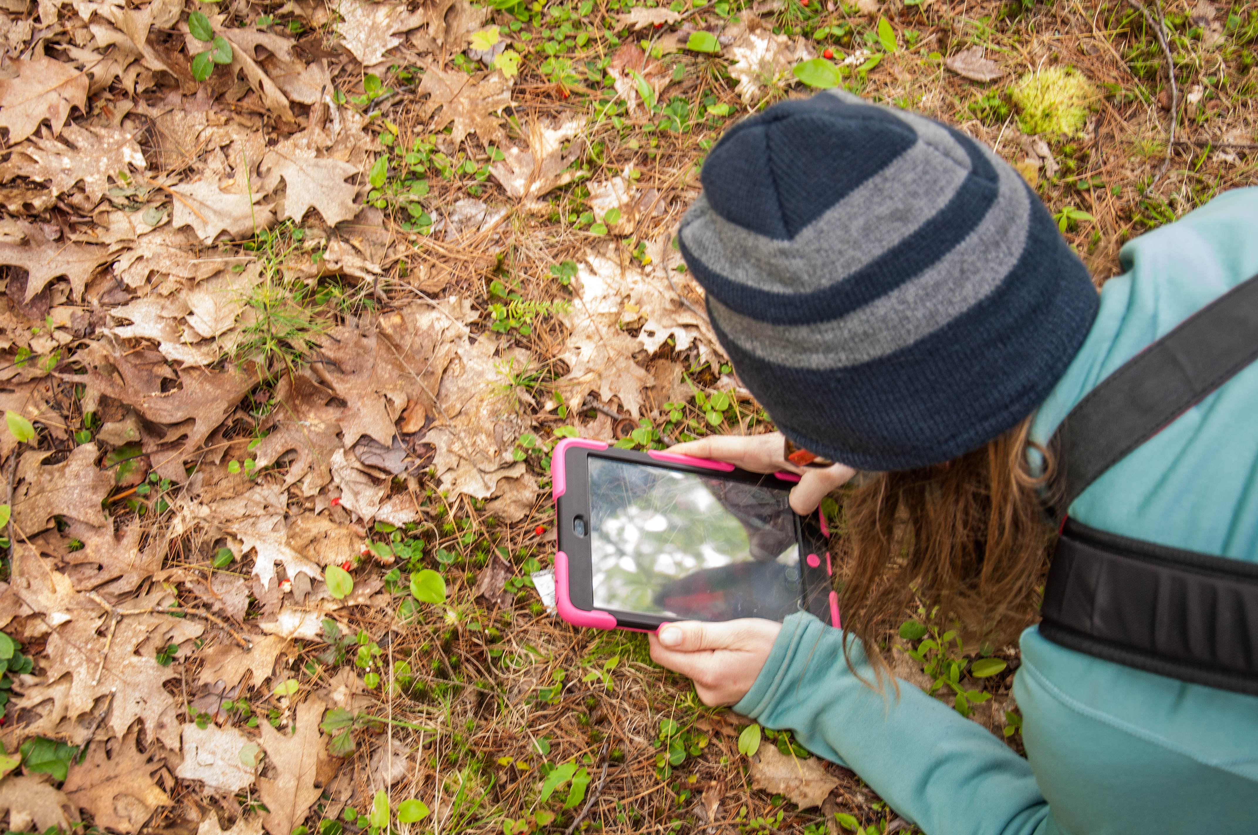 image de la carte Citizen Science and its institutional development