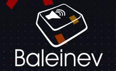 image de l'association ou du groupe Baleinev Festival