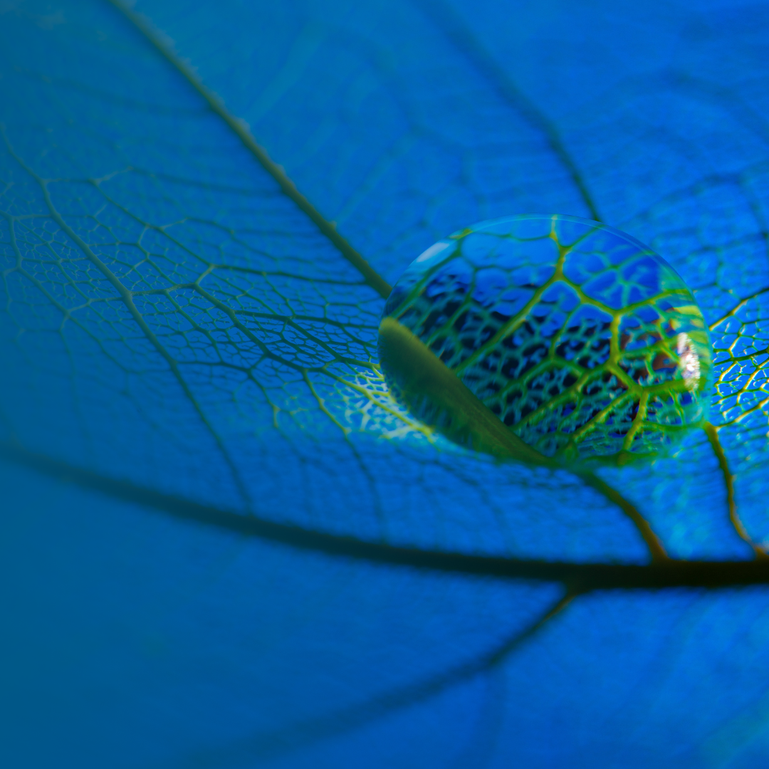 image de la carte CAS HES-SO en Transition écologique et changement de paradigme économique (Eco2libri)