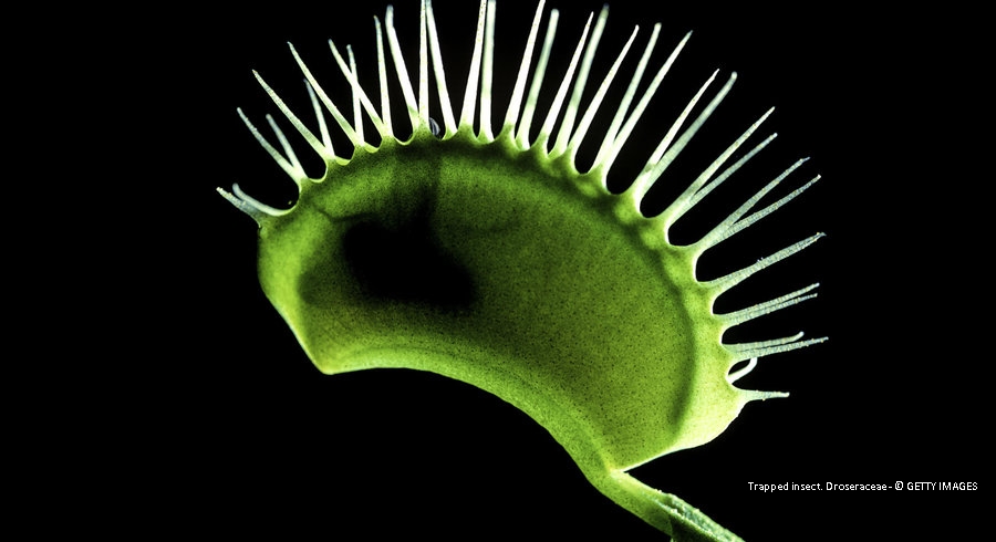 Article dans le Temps