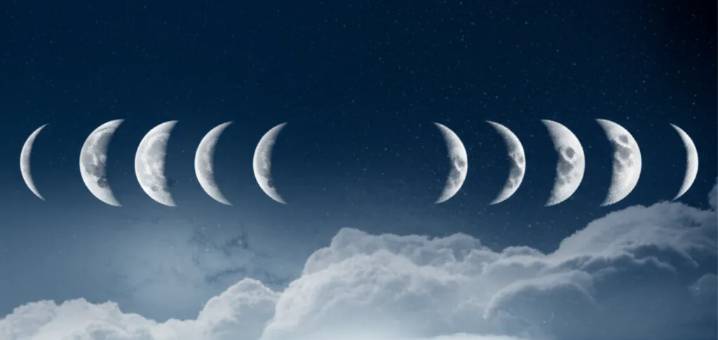 Horoscope 2024: A Look at Your Love, Career & Destiny