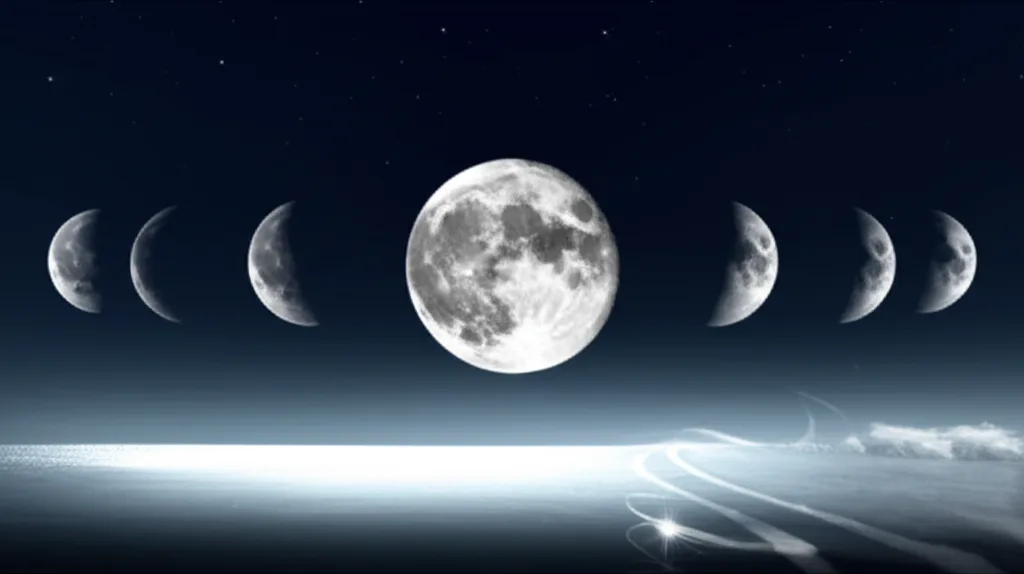 Horoscope Cafe Taurus: Your Daily Forecast for Today & Tomorrow