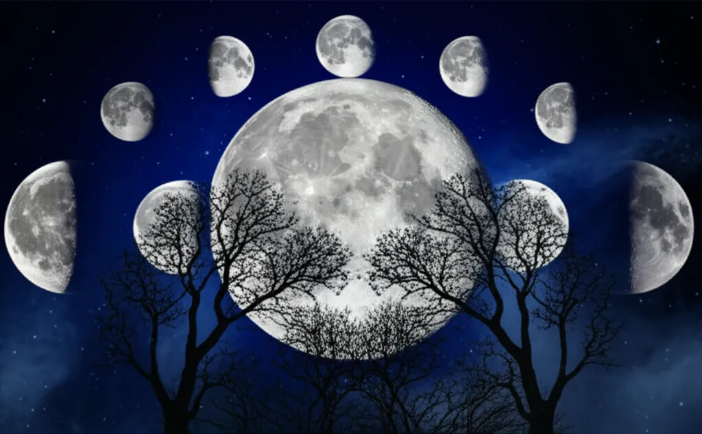Taurus Daily Horoscope: Love, Career & Money Predictions
