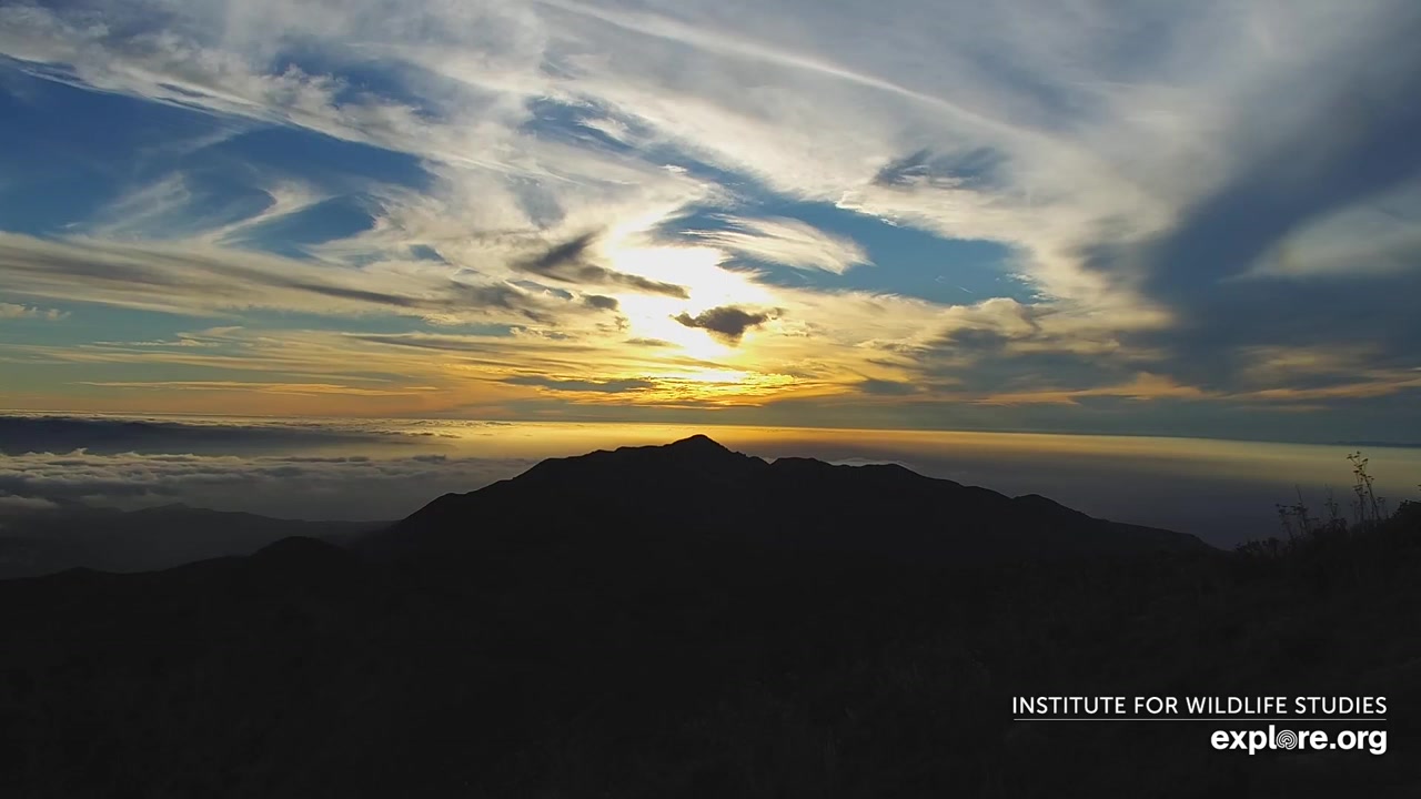 Sunset check Aug 17, 02:16