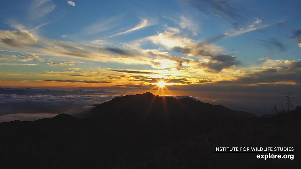 Sunset check Aug 17, 02:38