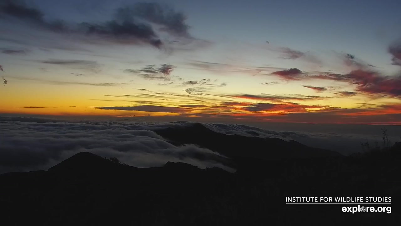 Sunset check Aug 18, 00:48