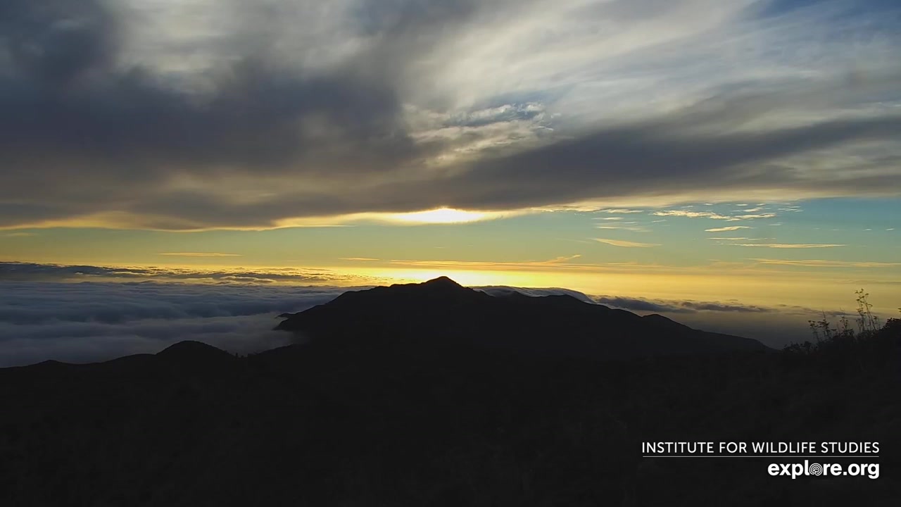 Sunset check Aug 18, 02:19