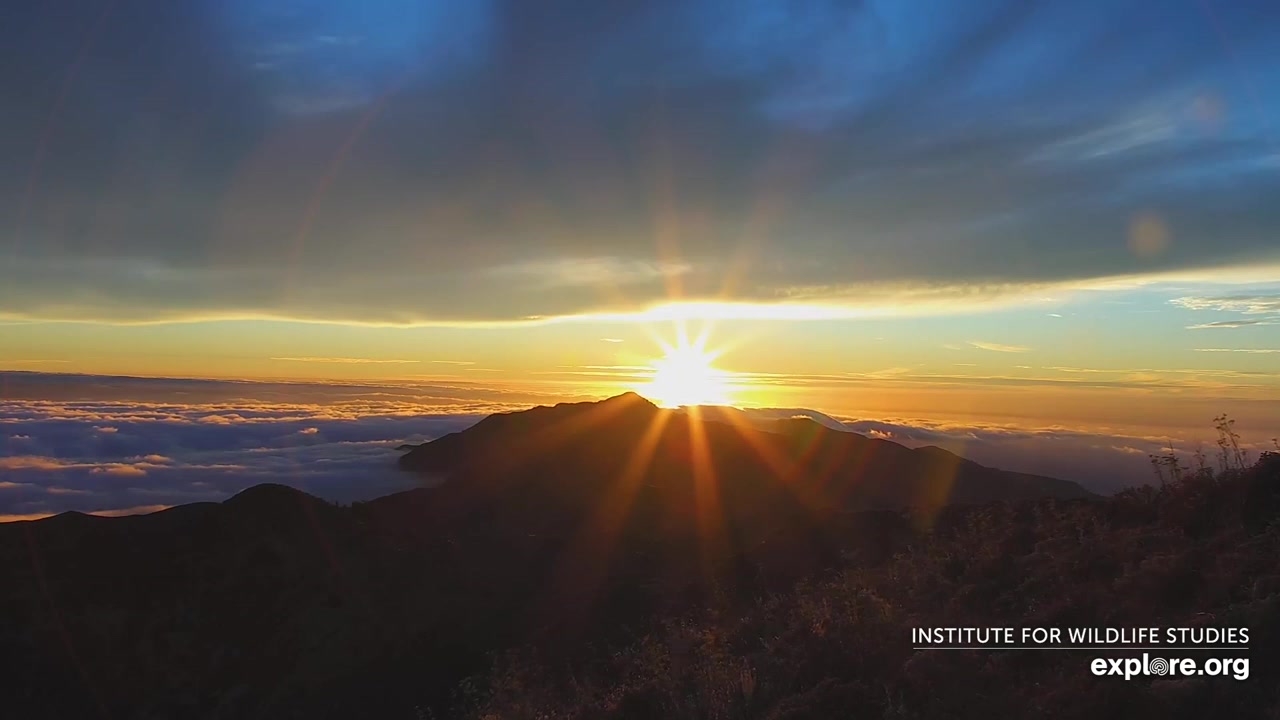 Sunset check Aug 18, 02:40