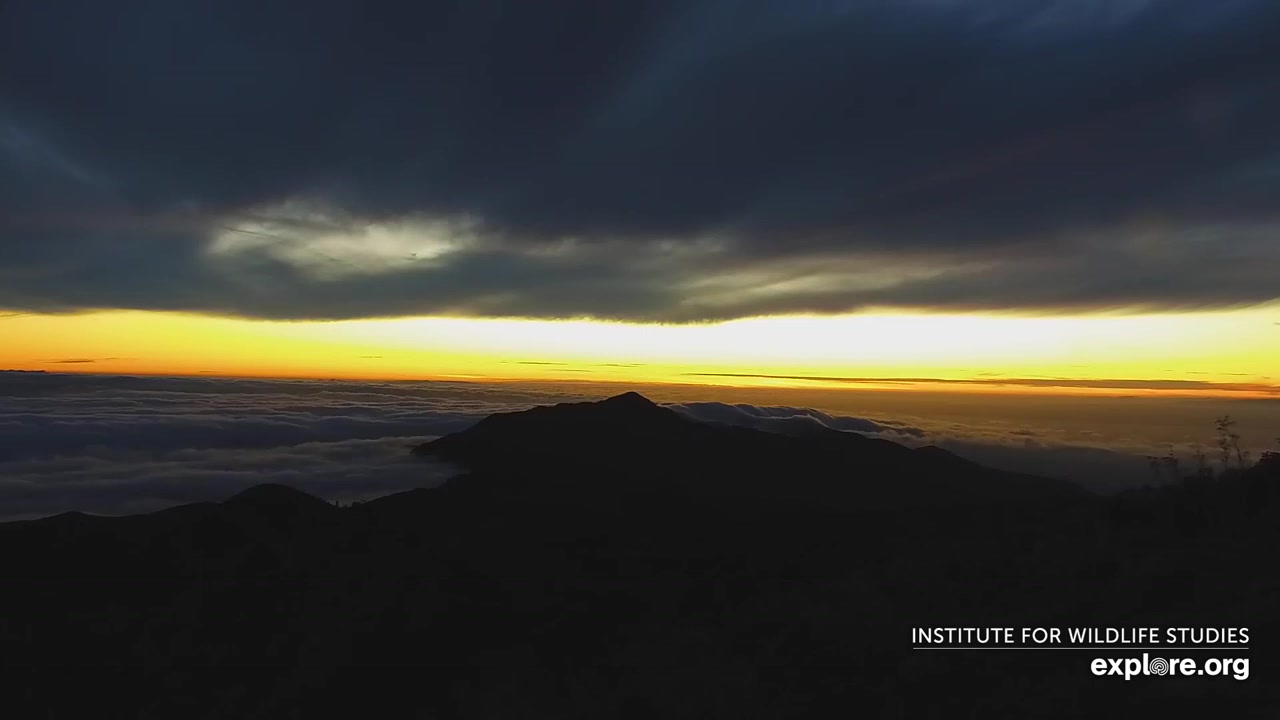 Sunset check Aug 18, 03:01