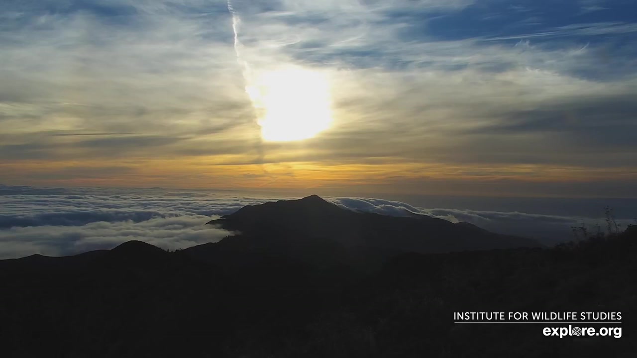 Sunset check Aug 19, 02:07