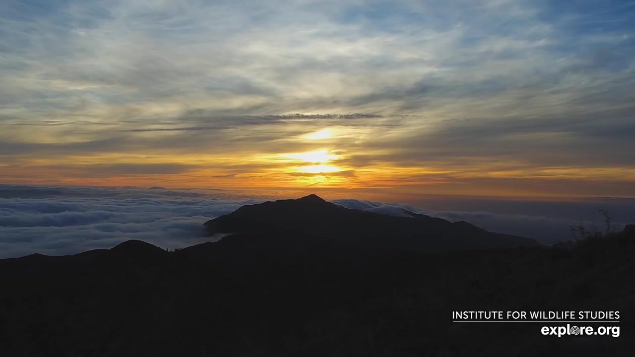 Sunset check Aug 19, 02:28