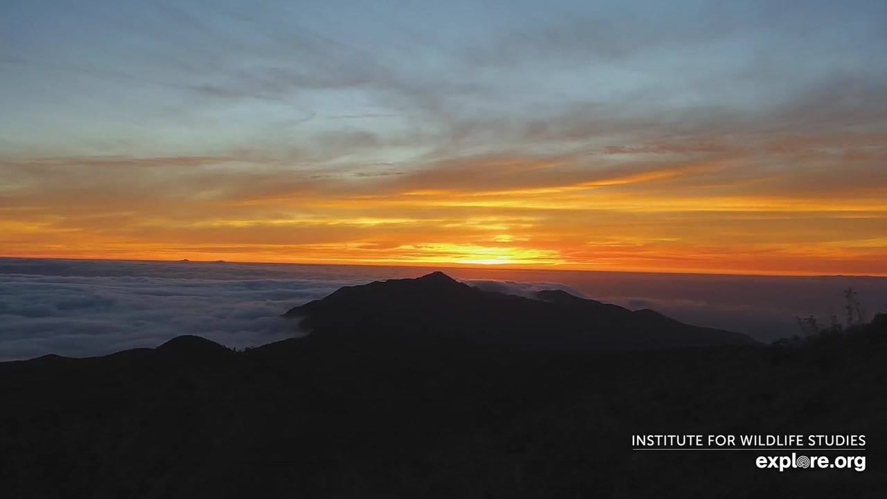 Sunset check Aug 19, 02:49