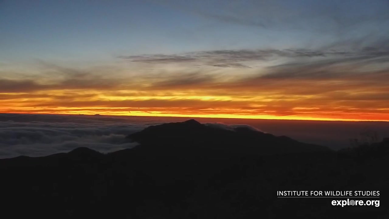 Sunset check Aug 20, 00:43