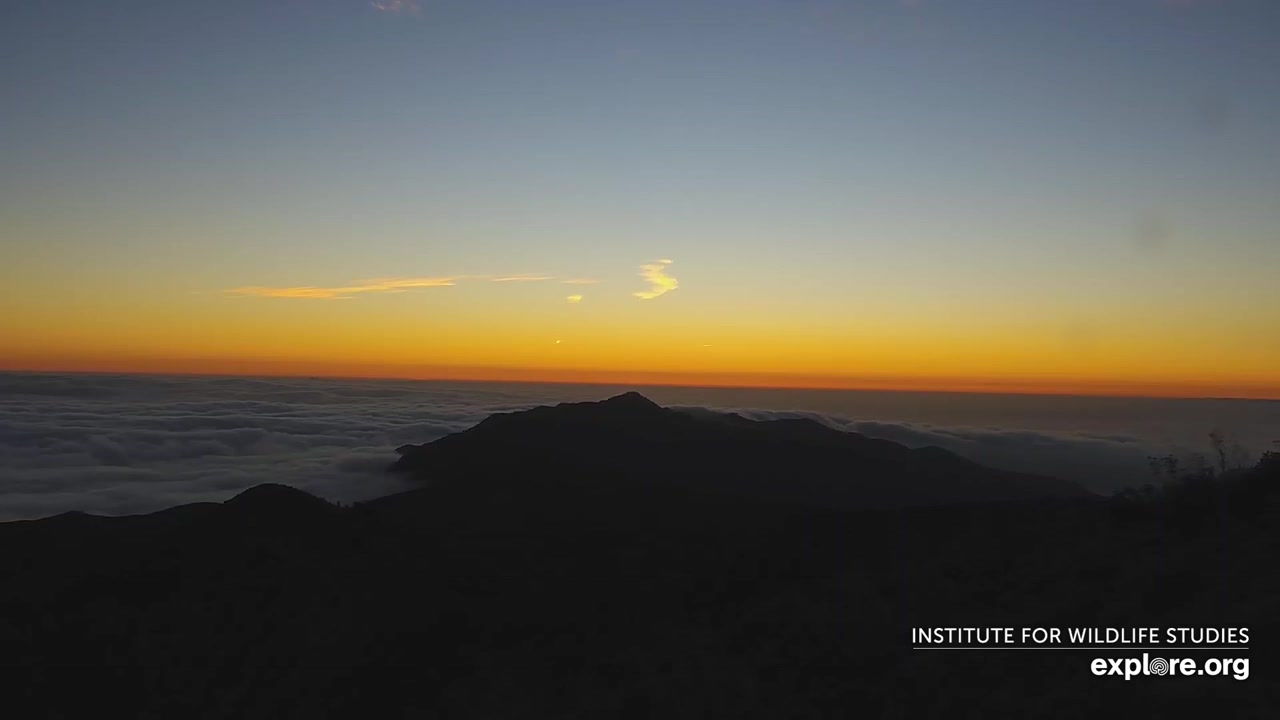 Sunset check Aug 20, 02:50