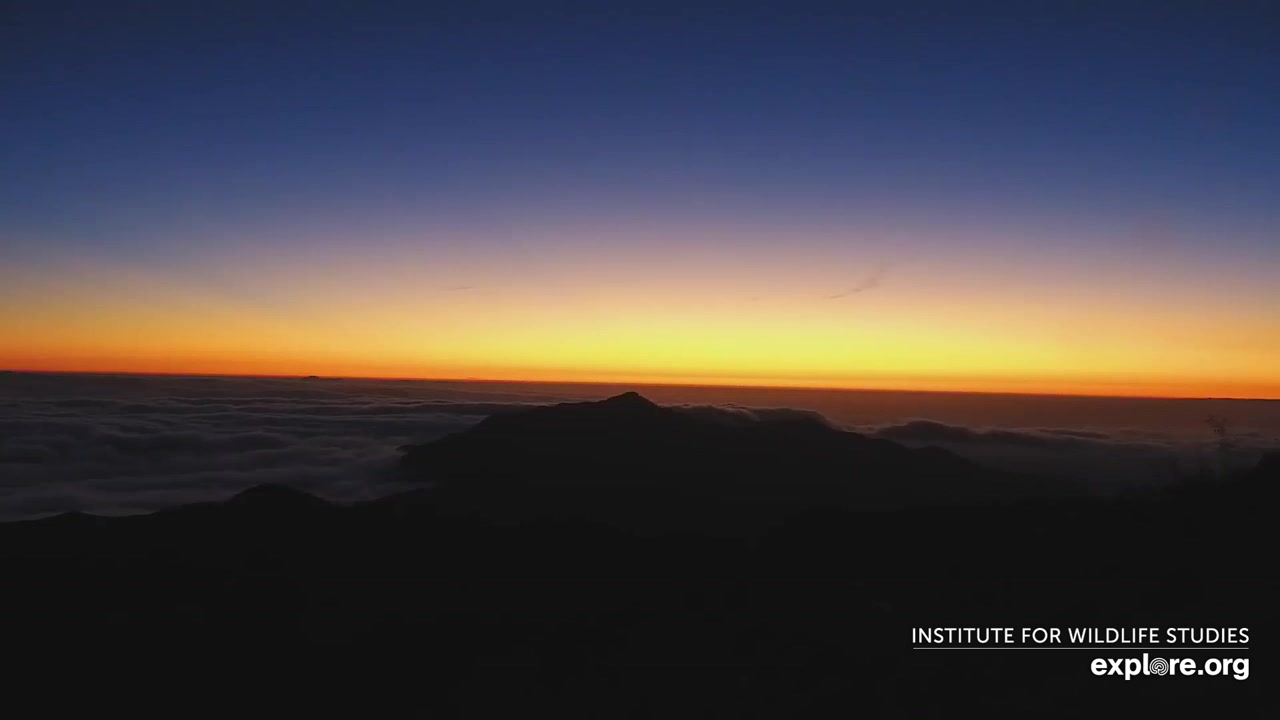 Sunset check Aug 20, 03:11