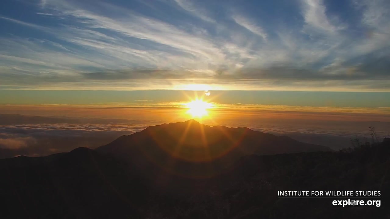 Sunset check Aug 21, 02:32