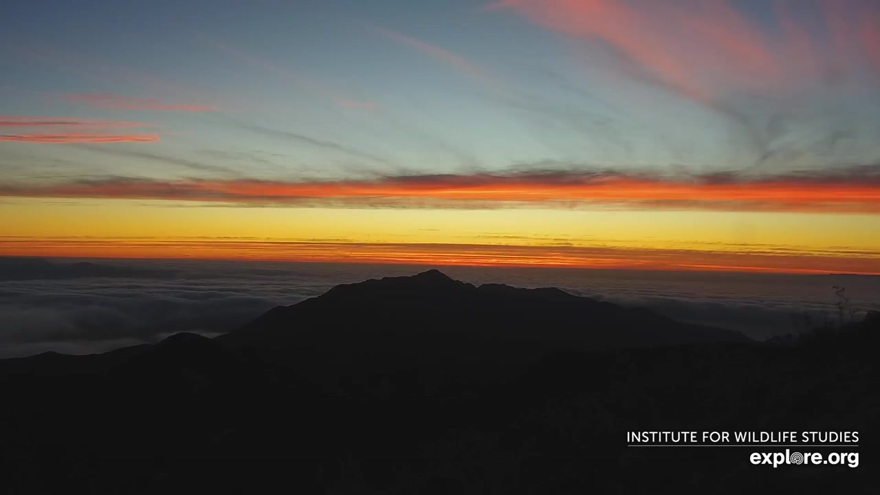 Sunset check Aug 21, 02:55
